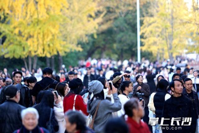 烈士公园“人从众”，29日入园游客超10万人次丨组图