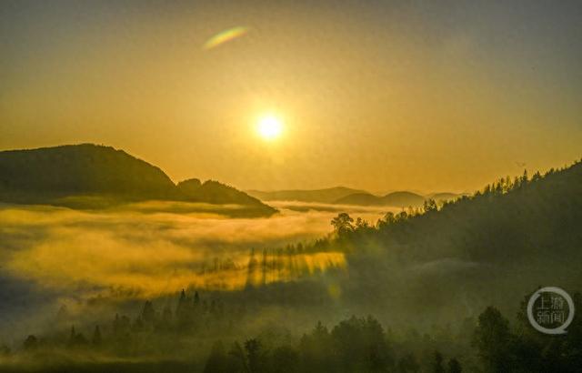 晨雾枫叶红 日出田园美