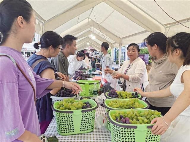 十年十届十分甜——第十届河溪张排葡萄文化节开幕现场特写
