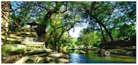 “村”游寻秋｜信阳西河古·中原古村的诗意栖居