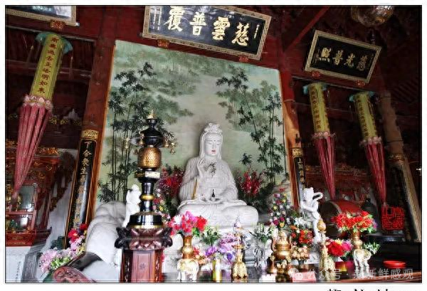 普陀山紫竹林日记｜紫竹林的晨钟响起叫醒了所有人却叫不醒你的心