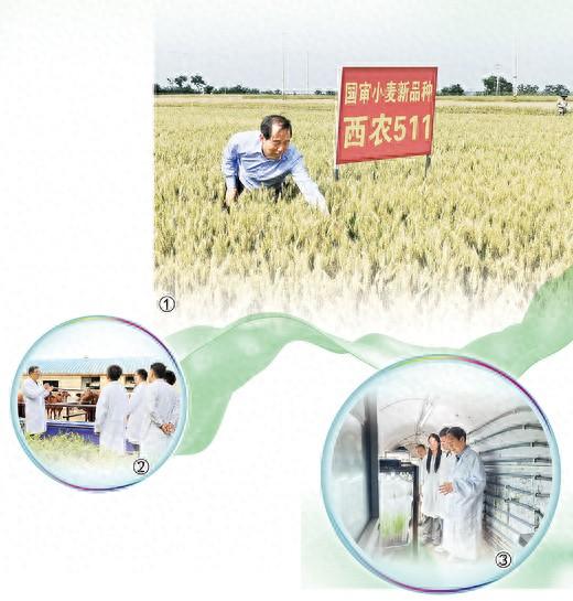 农场故事破解版无限钻石（这个西北小城何以走出28位院士）