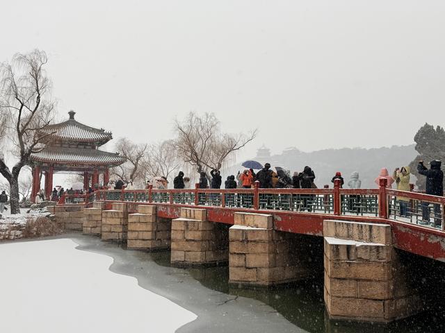 京城初雪如约而至！雪落无声，人游有影
