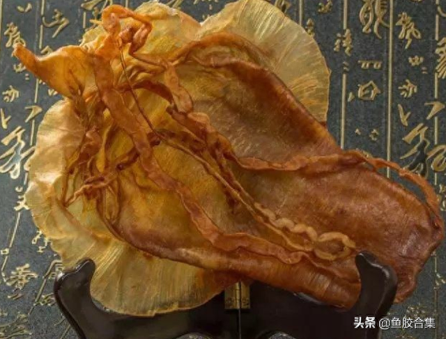 鳘鱼胶和鱼胶的区别 鳘鱼胶好吗