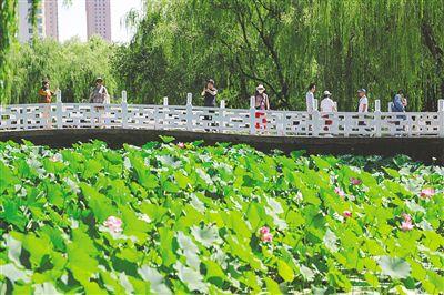 精细化打造园林景观
