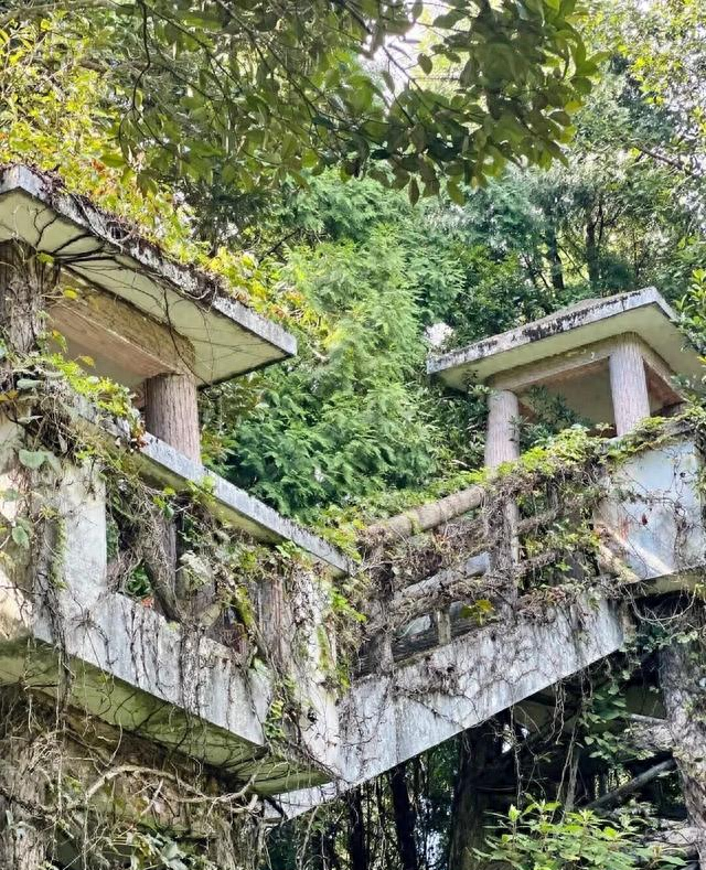 神庙逃亡游戏3（厦门徒步神庙逃亡太酷辣被种草的天然氧吧）