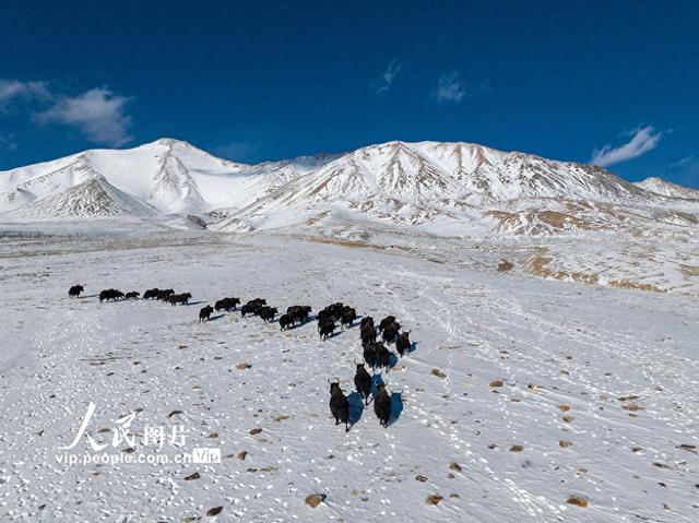甘肃阿克塞：秘境深处的哈尔腾草原