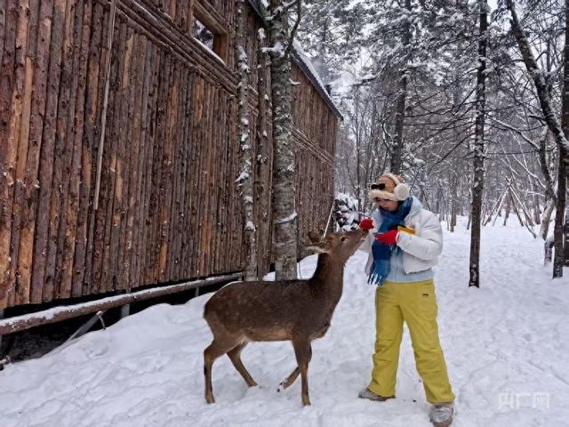 冰雪微笑曲线｜“冰雪+”点亮消费新图景 “冷资源”持续撬动“热经济”