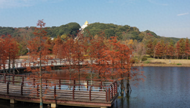 苏州秋天打卡线路推荐→