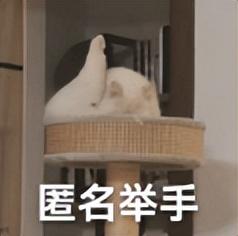 热搜爆了！西贝发长文致歉，结果彻底翻车...