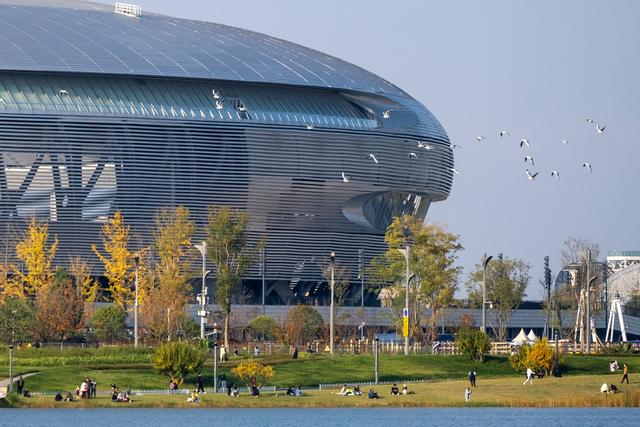 暖阳伴鸥舞 东安湖畔享周末好时光