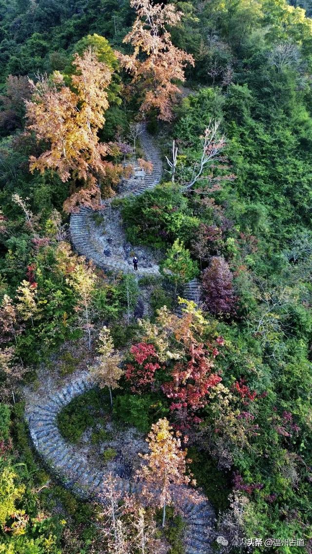 现场报道:温州这条醉美红枫古道已经美艳了!