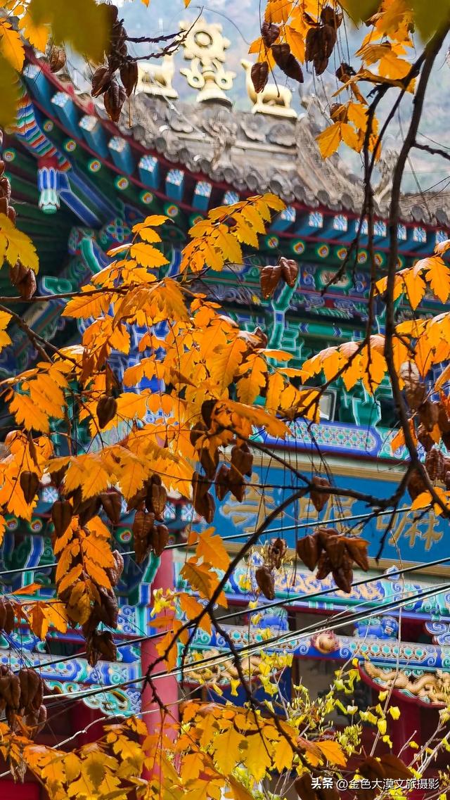 秋染五泉山：兰州城畔的千年诗意与一季斑斓​​