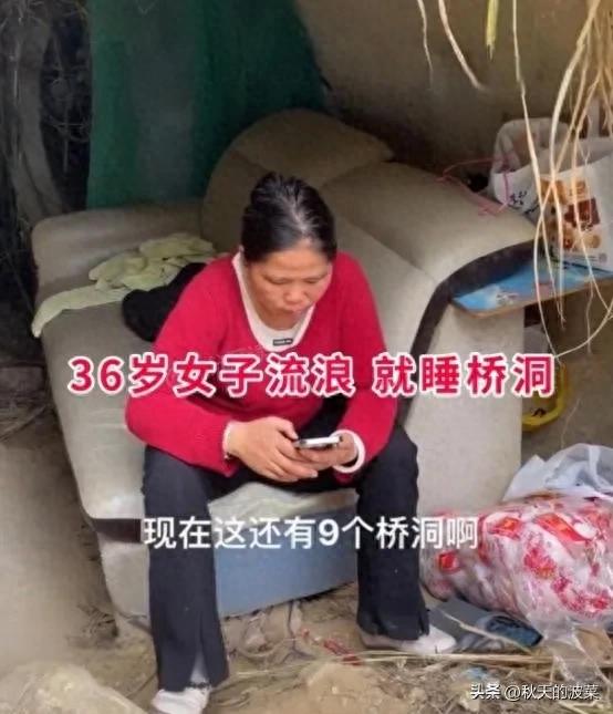 桥洞里住着个36岁女人，天天有人送吃送喝，她却说比打工自在多了