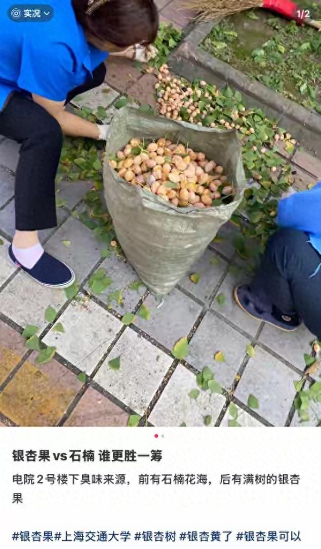 金元宝破解版（紧急提醒上海街头这种金元宝）