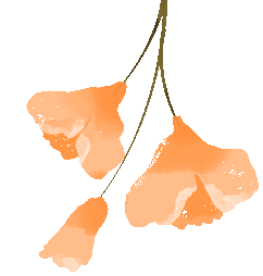 雪顶太白山｜提前邂逅冬日白雪