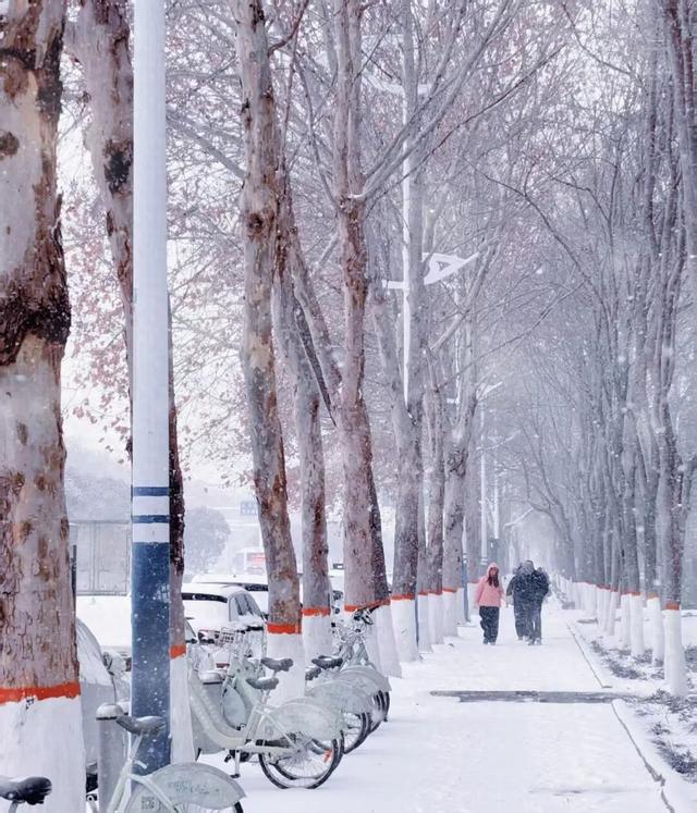 雪落莲城，许你一场纯净的冬日浪漫