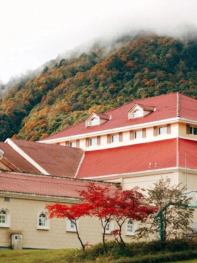 千万别眨眼，成都又将美出新高度！