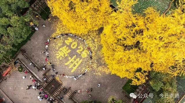 罨画池正在下一盘“大棋”