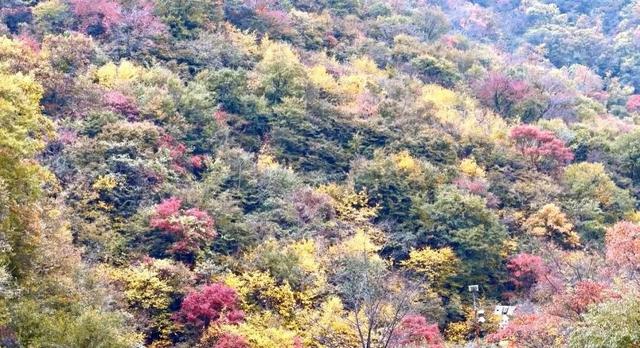 抓住秋天的尾巴，去“北方小桂林”选出你最爱的颜色~