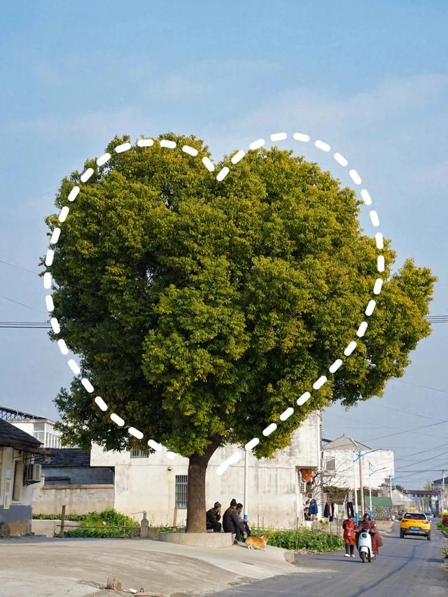 8月最适合亲子游的6个旅行地，好玩又涨知识，孩子超喜欢！