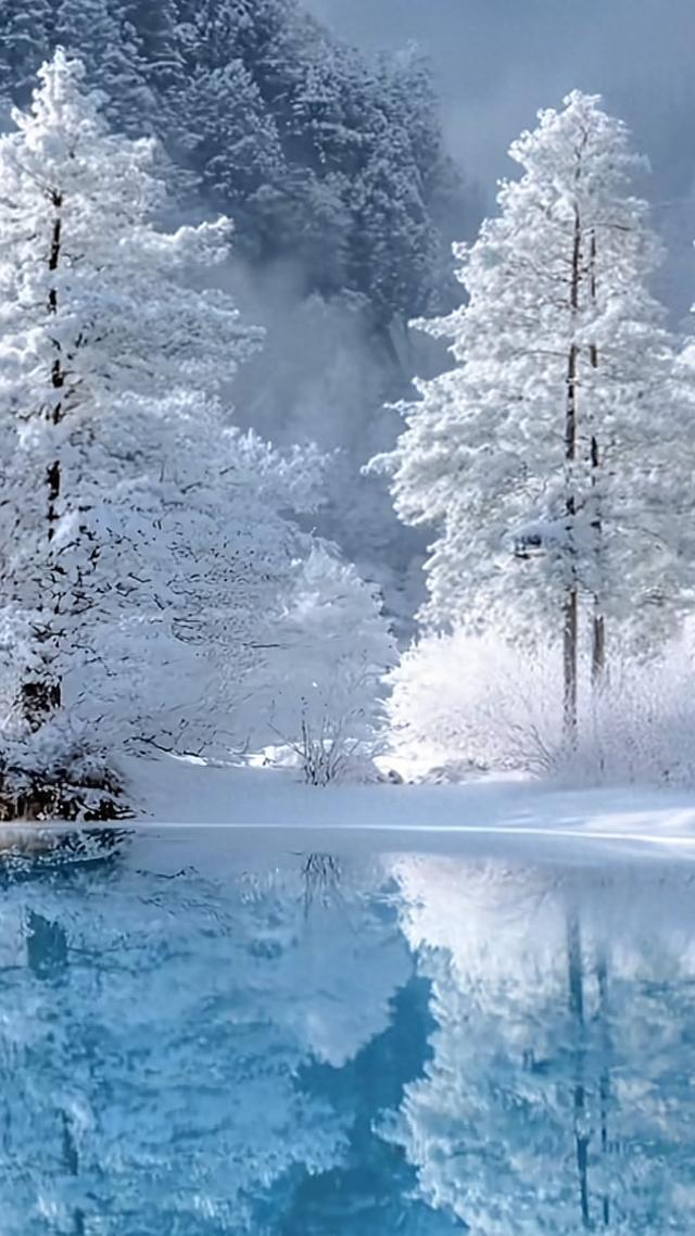 冻住的仙境！九寨沟一下雪，就美成了神仙不敢认的模样