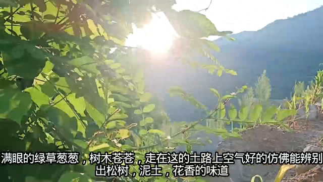 好美，好清凉的秦岭之心乡村