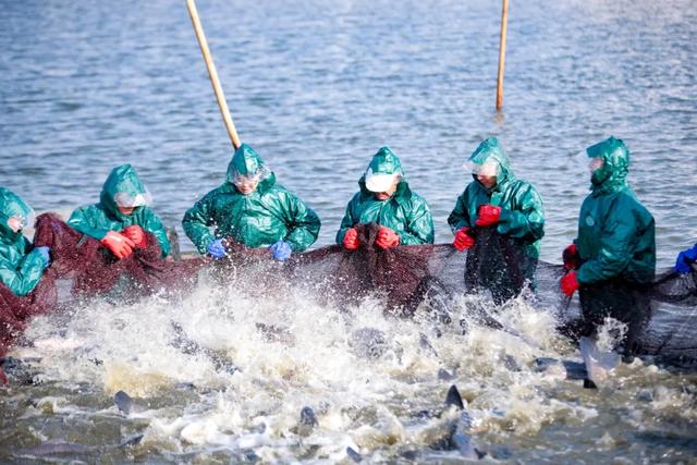 鹅湖观察:小镇身段背后的“大道突围”