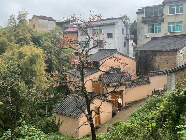 退休夫妻自驾温岭、霞浦、泰顺、永嘉、嵊州之总结