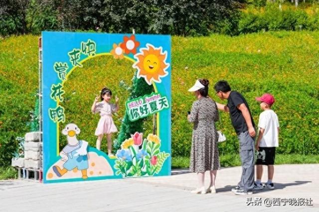 北山美丽园72亩孔雀草花朵绽放