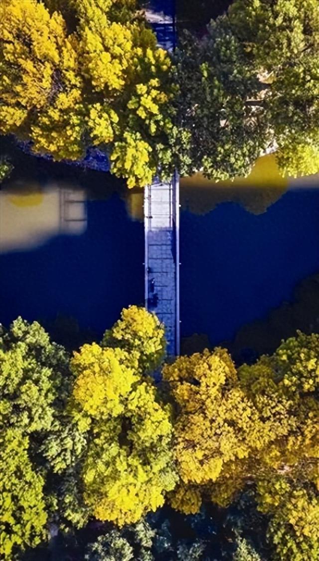 《今晚报》刊登：“叶”色正美 导航“津”秋