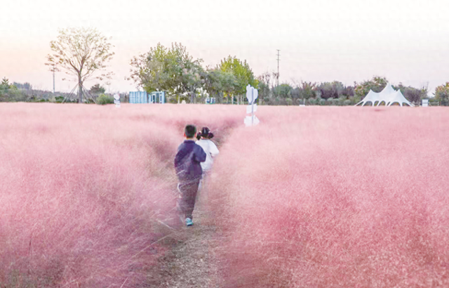 日照秋韵 一笺诗意入画来