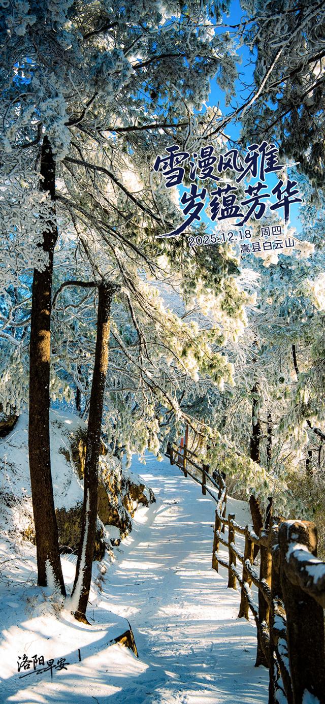 【洛阳·早安】雪漫风雅，岁蕴芳华