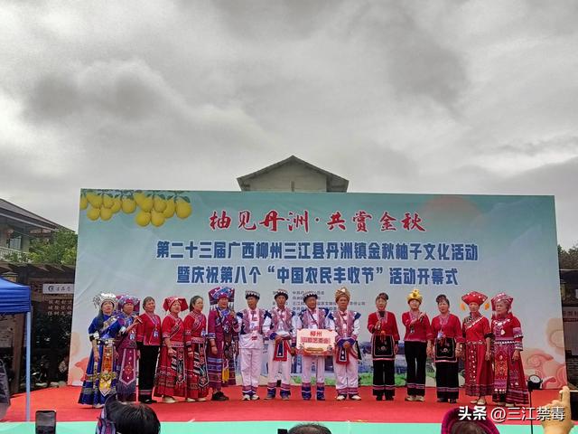 三江丹洲镇：丹洲柚熟庆佳节，全民防毒筑屏障，共护古镇好风光