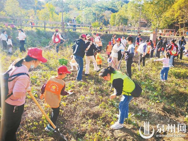 田间地头“小农夫” 大自然里趣探险