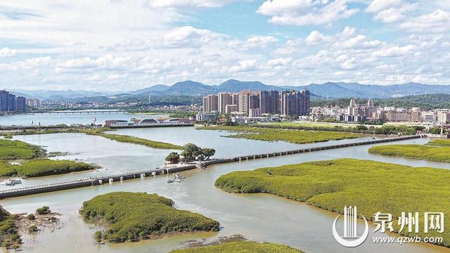 生态湿地 景美如画