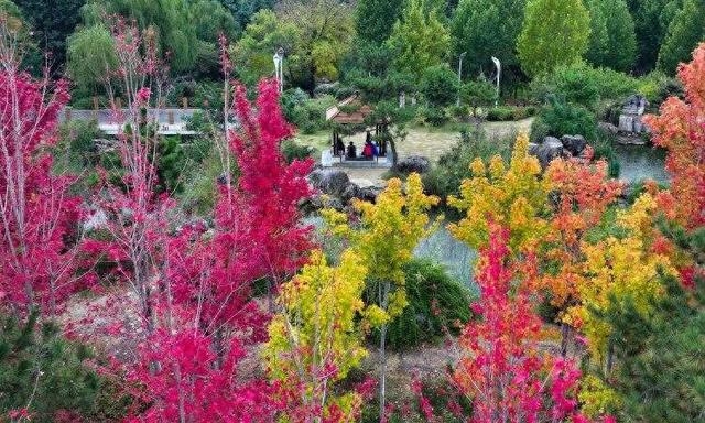 走，打卡郑州秋景观赏点