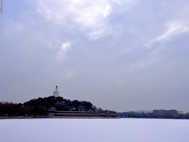雪后的北海，水鸟舞出冬日最灵动的画卷