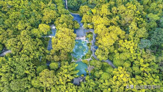 咔嚓🤳！抓住鄂州秋天的“小尾巴”~