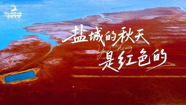 出发！去盐城！就现在！