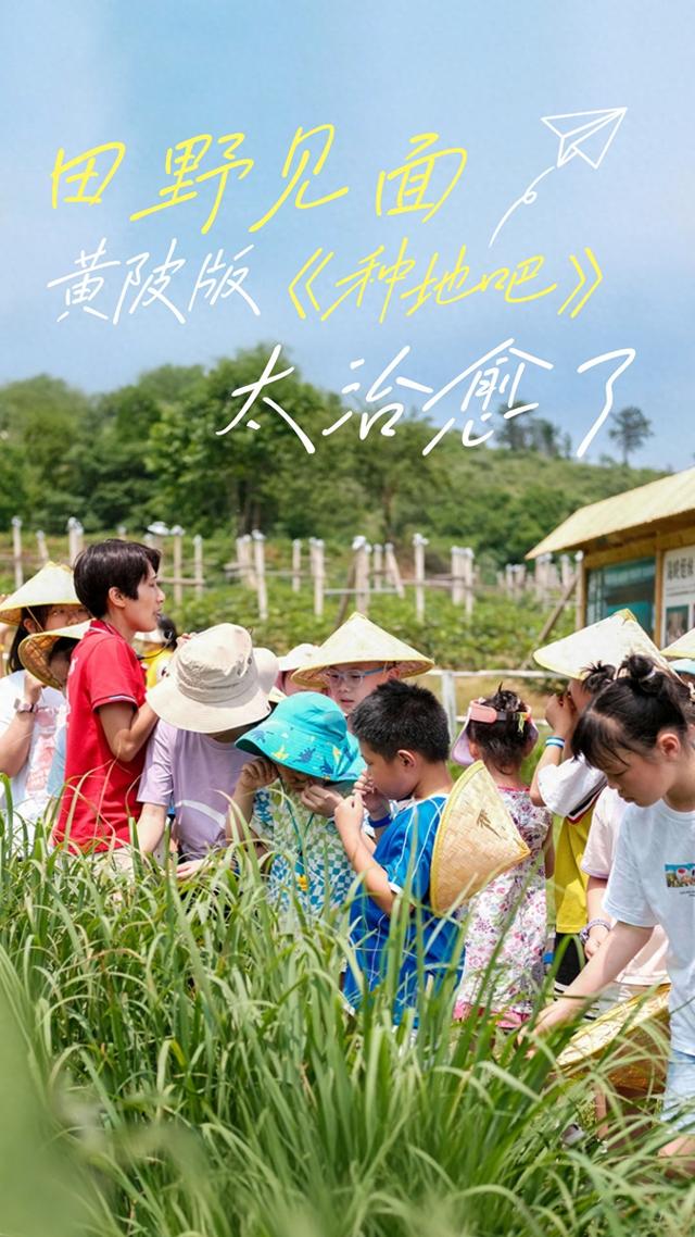 黄陂版《种地吧》太治愈了！
