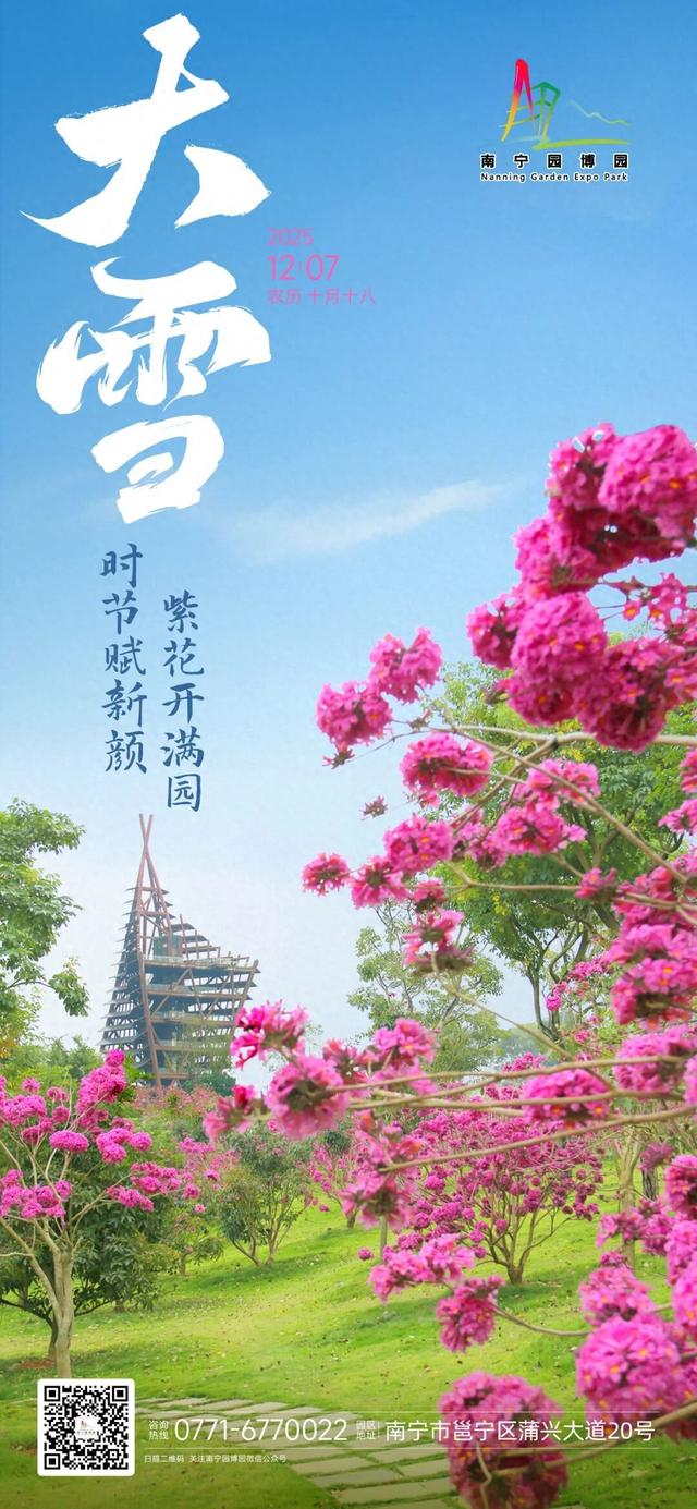 大雪 | 时节赋新颜，紫花开满园