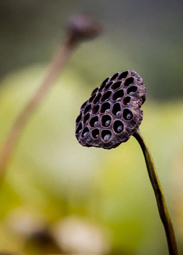 冬日微湖，慢养身心