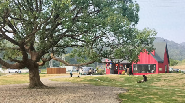 观沧海｜文旅创新贵在顺势而为