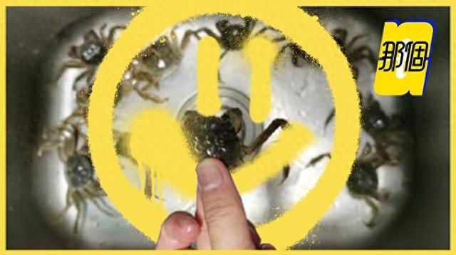 兴化seo优化排名（可选全母是大V们的赛博卖拐）