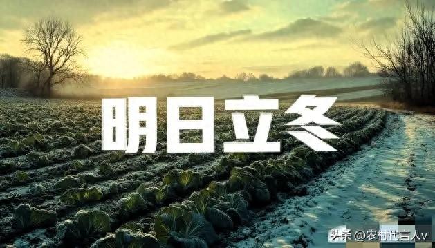 “立冬不过午，三九雪堵门”，明日立冬，今年冬天雪大吗？早了解