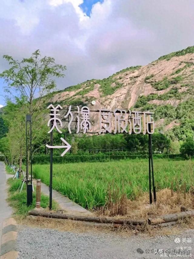 市区的第一波向日葵花海正向你涌来，超适合拍照，周末打卡去！