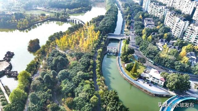 你好 东坡！| 明月路：邂逅一条湖光浸润的诗意长廊