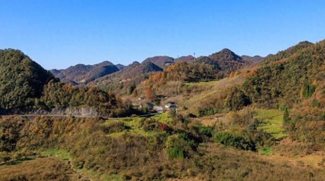 诗画冬日鹤峰：高原大地似锦绣