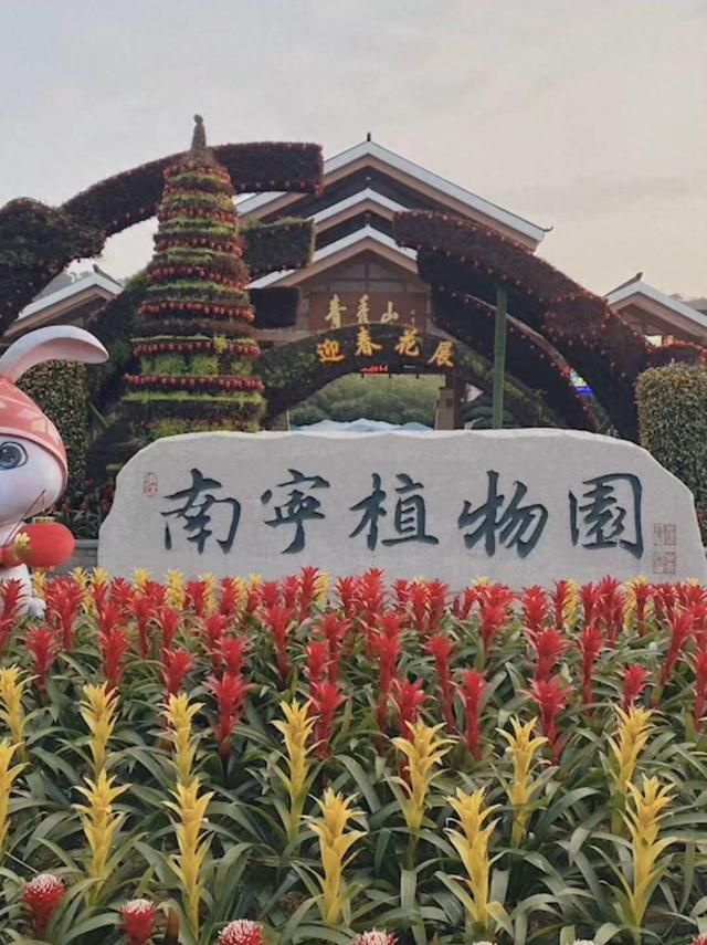 我和老伴孙子继续旅游，到南宁植物园（青秀山）留下最珍贵的回忆